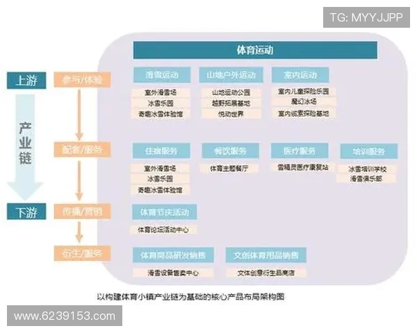 db体育：新兴体育项目的崛起与未来发展趋势